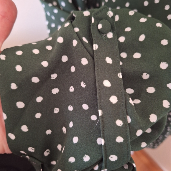 41 Hawthorn XL Green and White Polka Dot Blouse. NWT -Stitch Fix - Picture 5 of 6